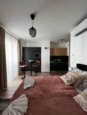 Central studio in Budapest Soho - 213